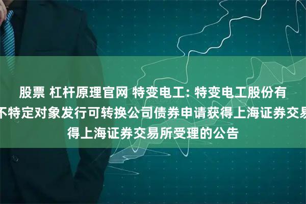股票 杠杆原理官网 特变电工: 特变电工股份有限公司关于向不特定对象发行可转换公司债券申请获得上海证券交易所受理的公告