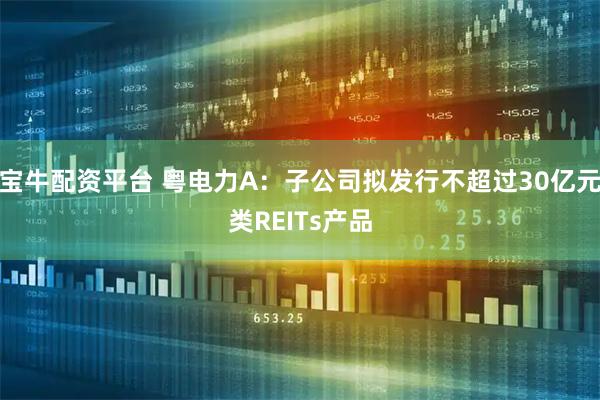宝牛配资平台 粤电力A：子公司拟发行不超过30亿元类REITs产品