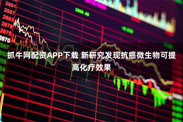 抓牛网配资APP下载 新研究发现抗癌微生物可提高化疗效果