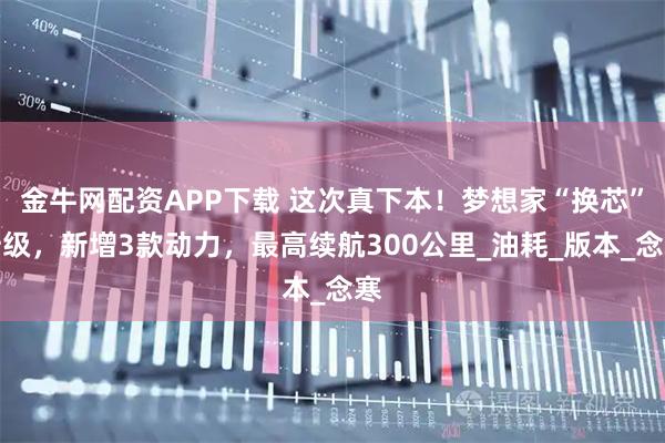 金牛网配资APP下载 这次真下本！梦想家“换芯”升级，新增3款动力，最高续航300公里_油耗_版本_念寒