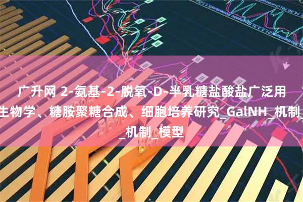 广升网 2-氨基-2-脱氧-D-半乳糖盐酸盐广泛用于糖生物学、糖胺聚糖合成、细胞培养研究_GalNH_机制_模型