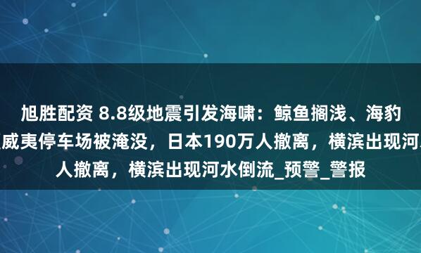 旭胜配资 8.8级地震引发海啸：鲸鱼搁浅、海豹集体跳海躲避，夏威夷停车场被淹没，日本190万人撤离，横滨出现河水倒流_预警_警报
