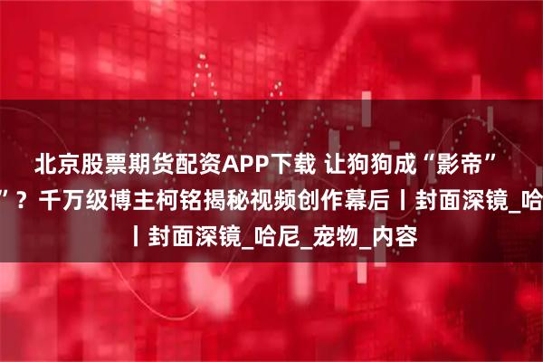 北京股票期货配资APP下载 让狗狗成“影帝” 苍蝇当“演员”？千万级博主柯铭揭秘视频创作幕后丨封面深镜_哈尼_宠物_内容